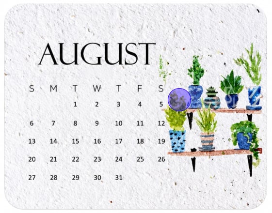 🌱 2027 Plantable Calendar – Use It. Plant It. Watch It Grow.🌱 ☀