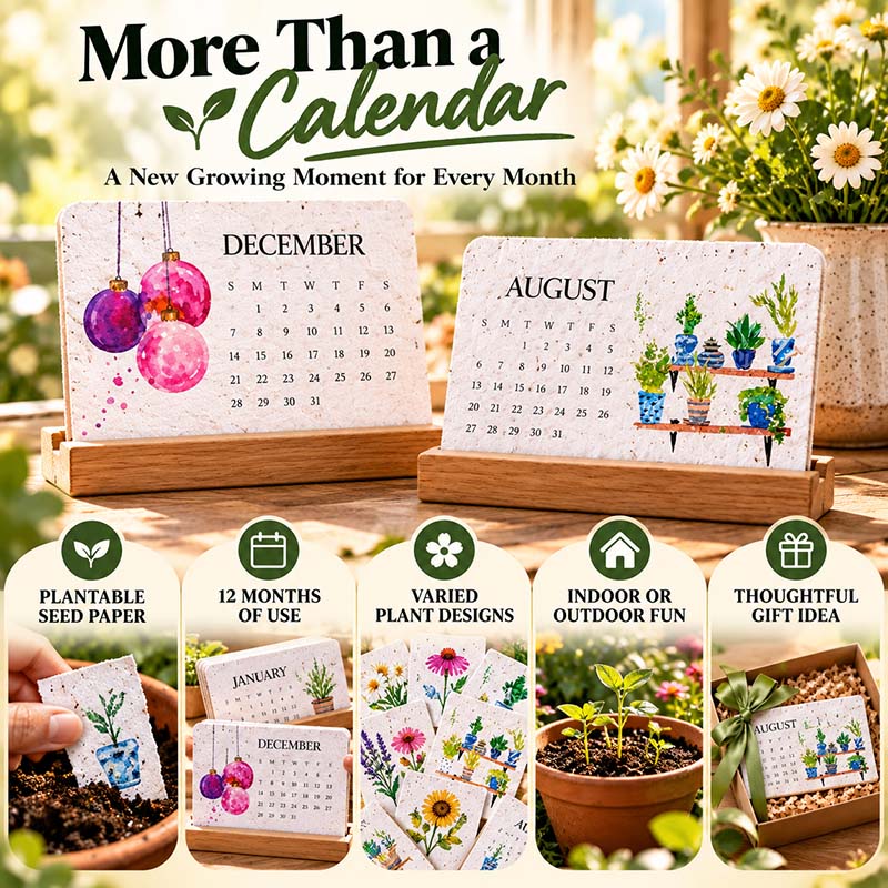 🌱 2027 Plantable Calendar – Use It. Plant It. Watch It Grow.🌱 ☀
