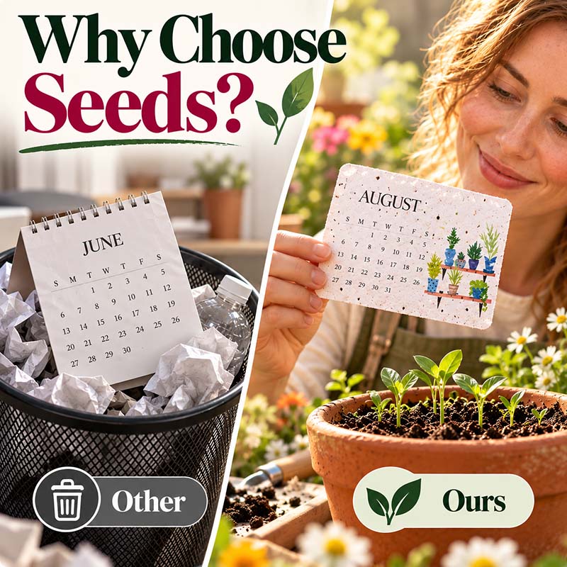 🌱 2027 Plantable Calendar – Use It. Plant It. Watch It Grow.🌱 ☀