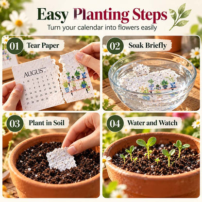 🌱 2027 Plantable Calendar – Use It. Plant It. Watch It Grow.🌱 ☀