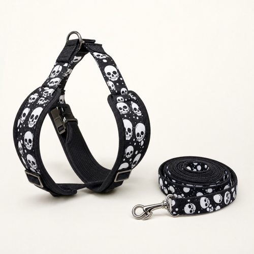 Skull print adjustable dog harness and leash set