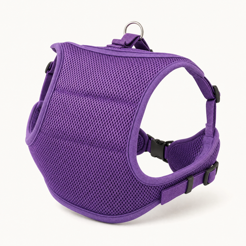 Purple cooling mesh dog harness