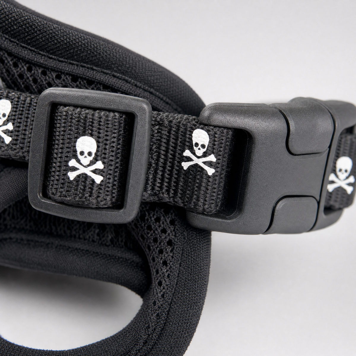Close-up of the adjustable strap slider and buckle