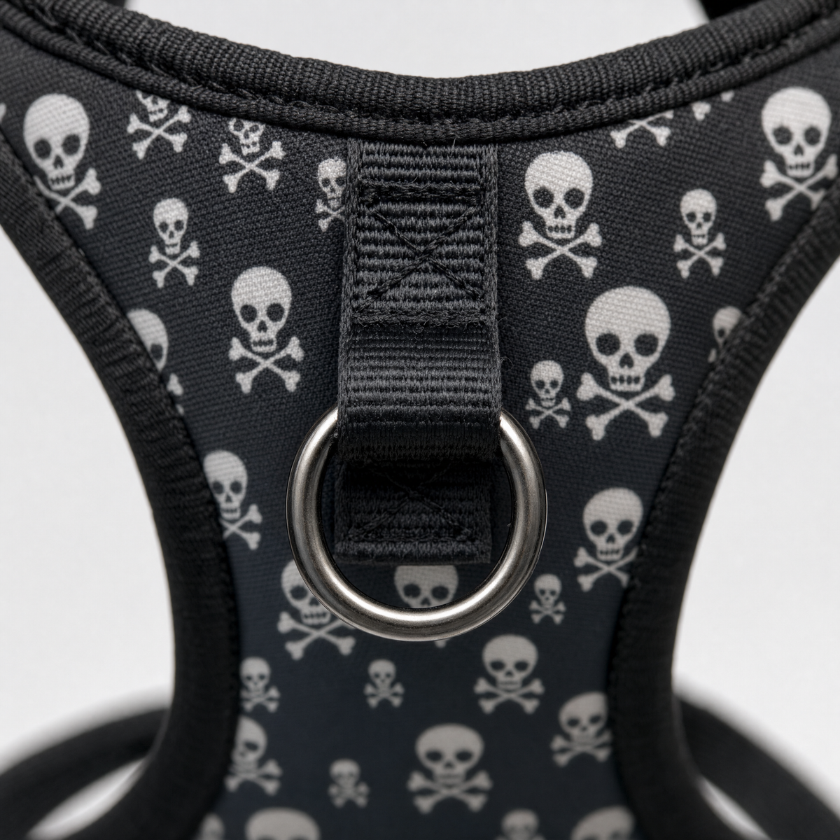 Close-up of the front chest leash ring