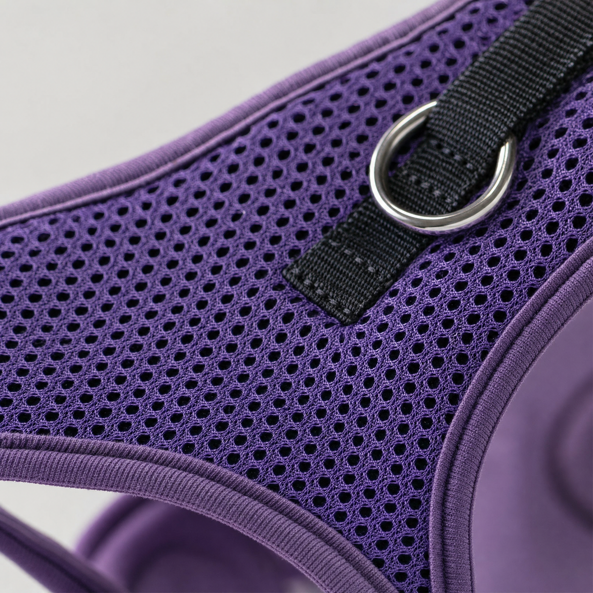 Close-up of the honeycomb air-mesh panel and D-ring