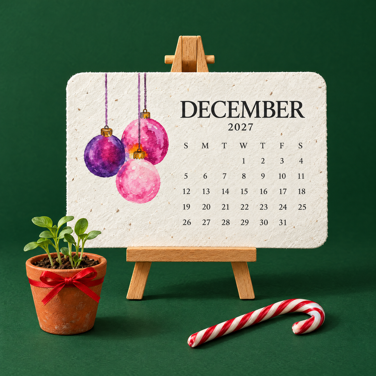 The December 2027 card on its easel beside a small pot of seedlings and a candy cane